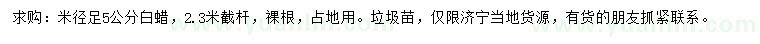 求購米徑足5公分白蠟
