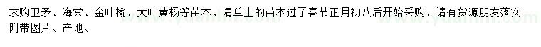 求購衛(wèi)矛、海棠、金葉榆等