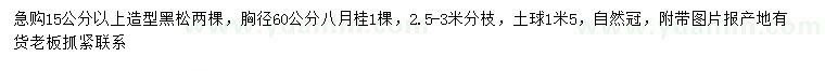 求購15公分以上造型黑松、胸徑60公分八月桂