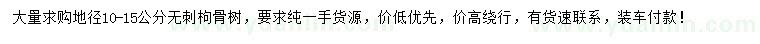 求購地徑10-15公分無(wú)刺枸骨樹(shù)