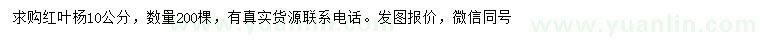 求購10公分紅葉楊