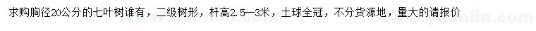 求購胸徑20公分七葉樹(shù)