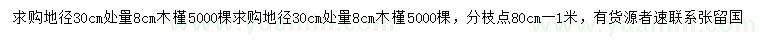 求購(gòu)地徑30量8公分木槿