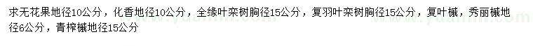 求購無花果、化香、欒樹等