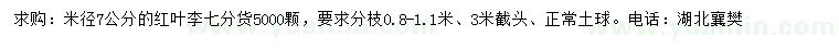 求購米徑7公分紅葉李