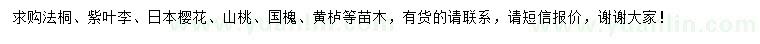 求購法桐、紫葉李、日本櫻花等