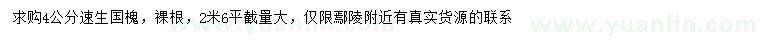 求購4公分速生國槐