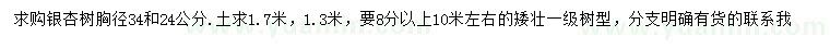 求購(gòu)胸徑24、34公分銀杏