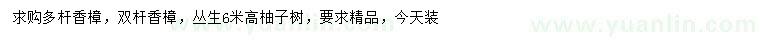 求購(gòu)多桿香樟、雙桿香樟、叢生柚子