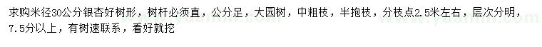 求購米徑30公分銀杏