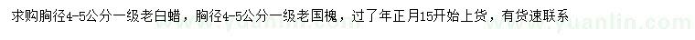 求購(gòu)胸徑4-5公分老白蠟、老國(guó)槐