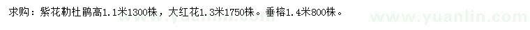 求購紫花勒杜鵑、大紅花、垂榕