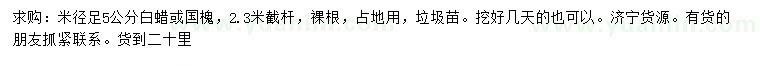 求購米徑足5公分白蠟或國槐