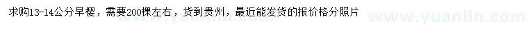 求購13-14公分早櫻