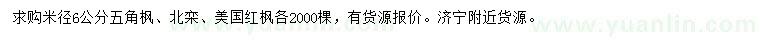 求購(gòu)五角楓、北欒、美國(guó)紅楓