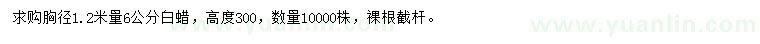 求購(gòu)胸徑1.2米量6公分白蠟