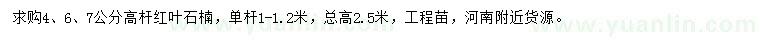 求購(gòu)4、6、7公分高桿紅葉石楠