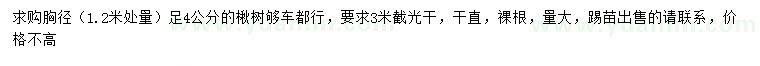 求購1.2米量胸徑足4公分楸樹
