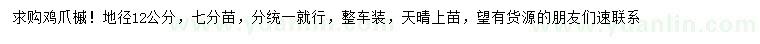 求購地徑12公分雞爪槭