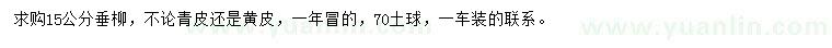 求購15公分垂柳