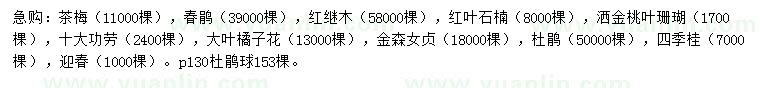 求購茶梅、春鵑、紅繼木等