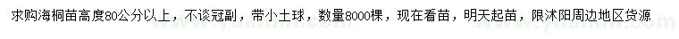 求購高80公分以上海桐苗
