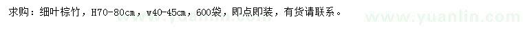 求購高70-80公分細葉棕竹