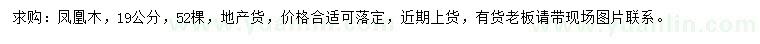 求購19公分鳳凰木