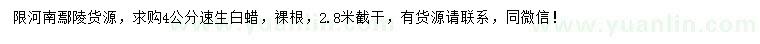 求購4公分速生白蠟
