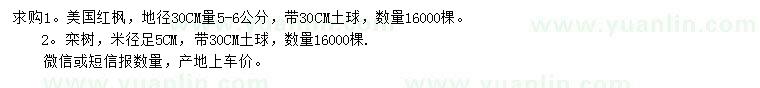 求購地徑30量5-6公分美國紅楓、米徑5公分欒樹