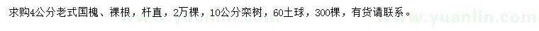 求購4公分老式國槐、10公分欒樹