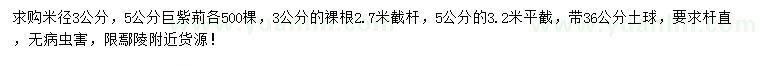求購(gòu)米徑3、5公分巨紫荊