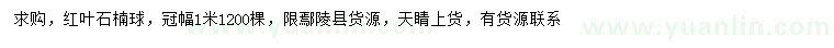 求購(gòu)冠幅1米紅葉石楠球