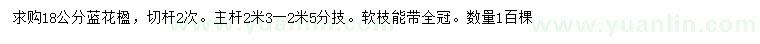 求購18公分藍花楹