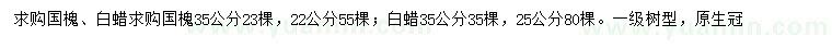 求購22、35公分國槐、25、35公分白蠟