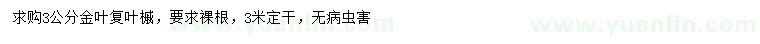 求購3公分金葉復(fù)葉槭