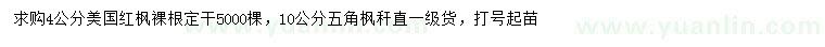 求購4公分美國紅楓、10公分五角楓
