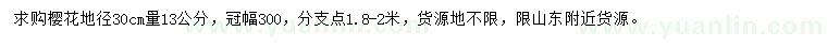 求購地徑30公分量13公分櫻花