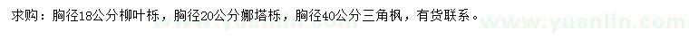 求購柳葉櫟、娜塔櫟、三角楓