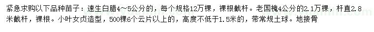 求購速生白蠟、老國槐、小葉女貞