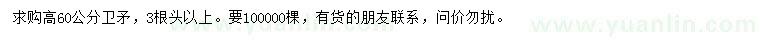 求購高60公分衛(wèi)矛