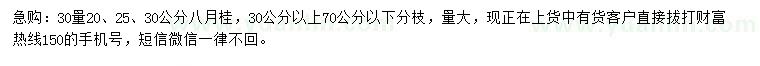 求購30量20、25、30公分八月桂