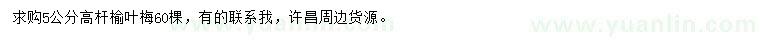 求購5公分高桿榆葉梅