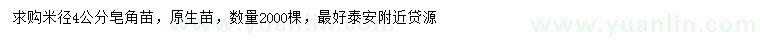 求購米徑4公分皂角苗