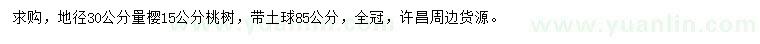 求購地徑30量15公分櫻桃樹