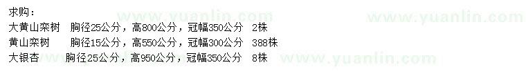 求購大黃山欒樹、黃山欒樹、大銀杏