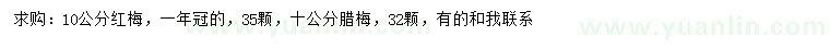 求購(gòu)10公分紅梅、臘梅