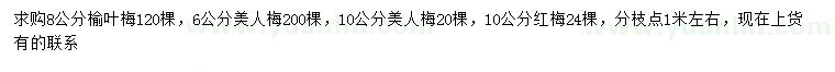 求購榆葉梅、美人梅、紅梅