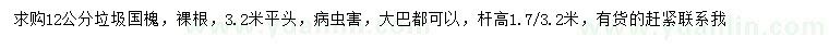 求購12公分國槐