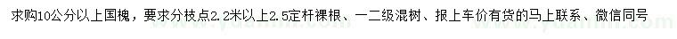 求購10公分以上國槐